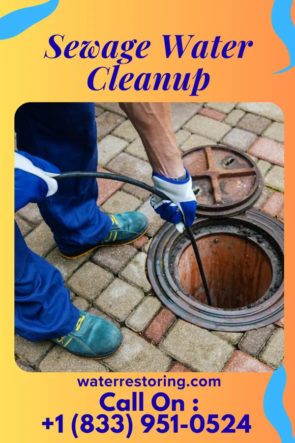 Sewage Water Cleanup in Reserve, KS